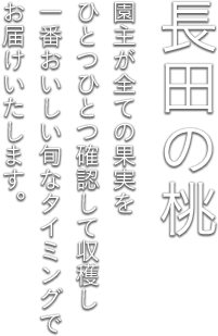 桃 太陽の恵みと愛情をたっぷり与えてしっかり熟すまで大切に育てました。